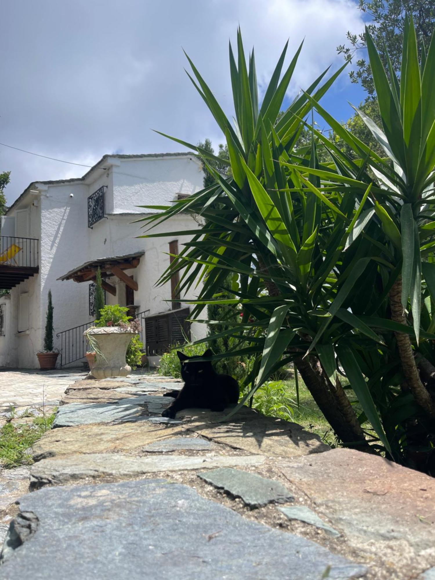 Maison De Charme Avec Piscine Et Vue Exceptionnelle Scolca Exterior photo